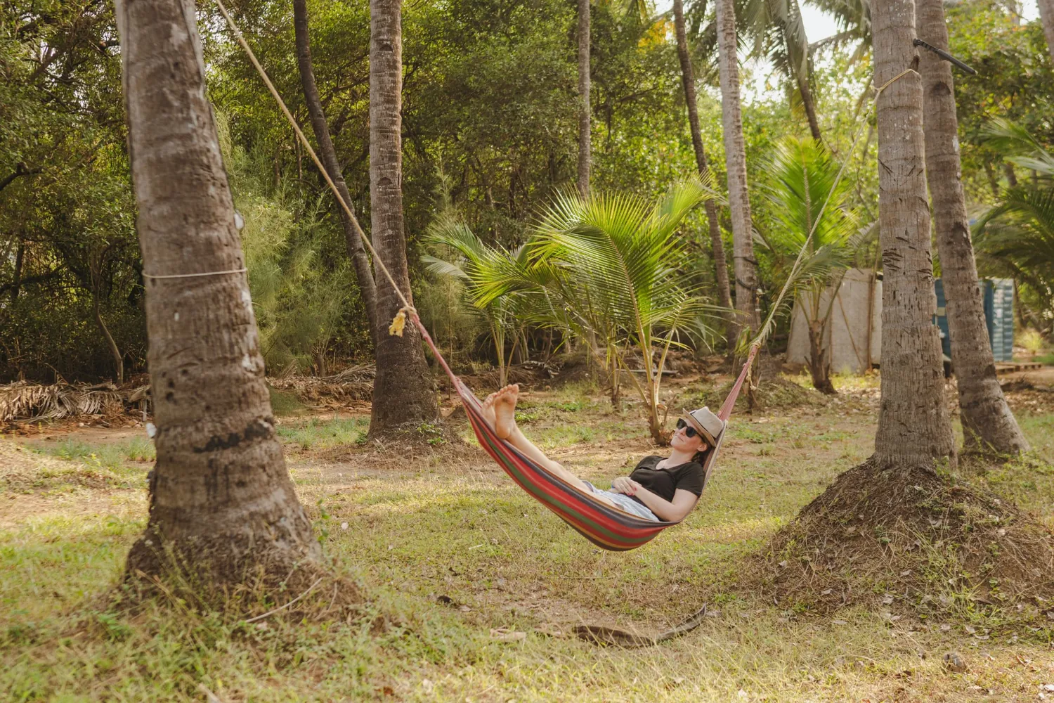 A guest resting in a striped hammock strung between two coconut palms