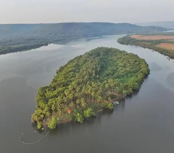 The island from above, ringed by the river and mangroves