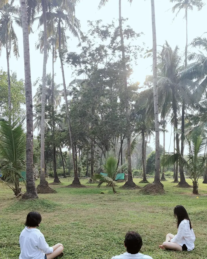 Guests seated quietly among the palms at sunrise