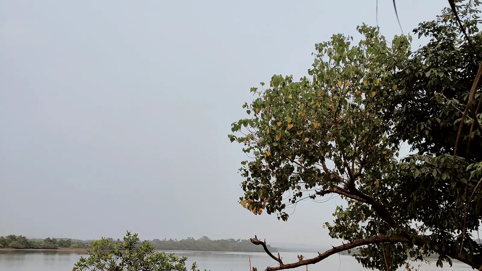 Sai Island signage over the Chapora River, Goa